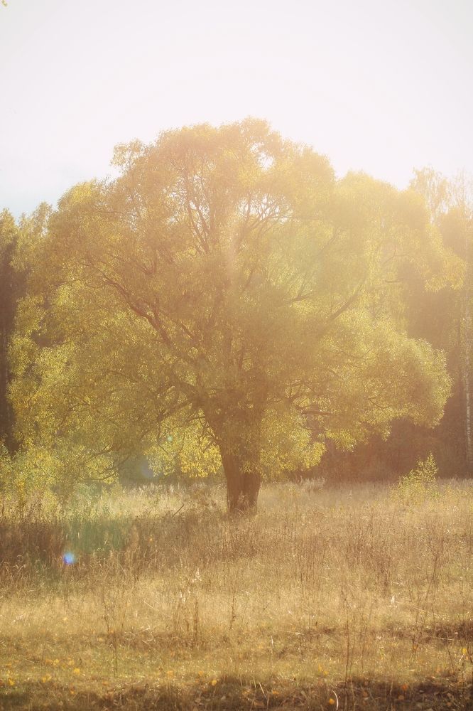 Photograph by Игорь Тихонов