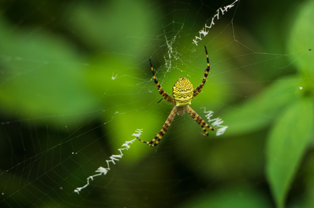 Photograph by Vinoj Prasath Navarajah
