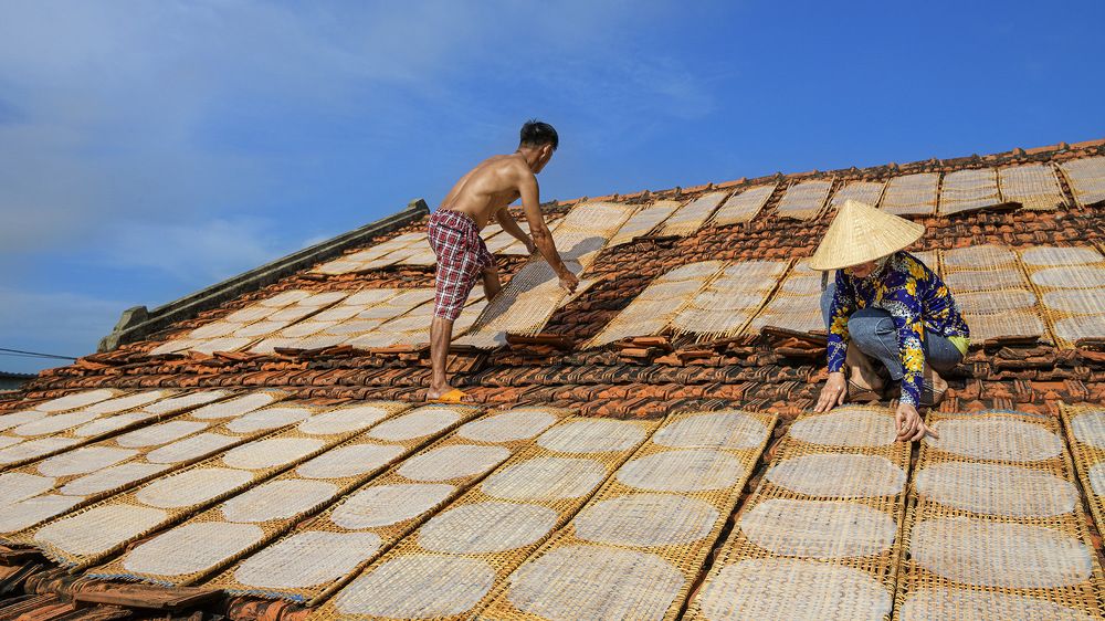 Photograph by Ngọc Vân (Helena Vân) Nguyễn