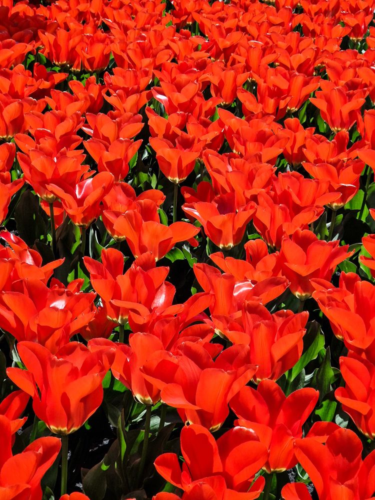 Photograph by Liudmila Kirillova