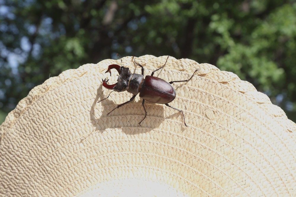 Photograph by Екатерина Афанасьева