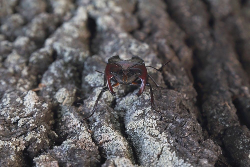 Photograph by Екатерина Афанасьева