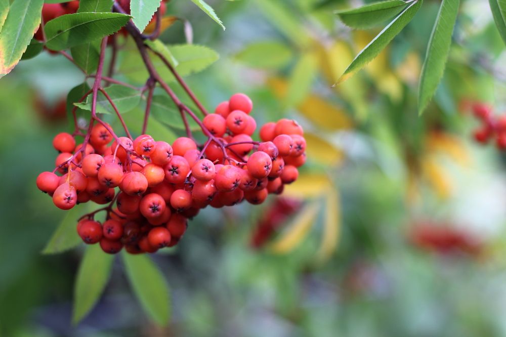 Photograph by Роман Белов