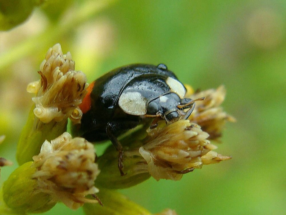 Фотография автора Павел Попов
