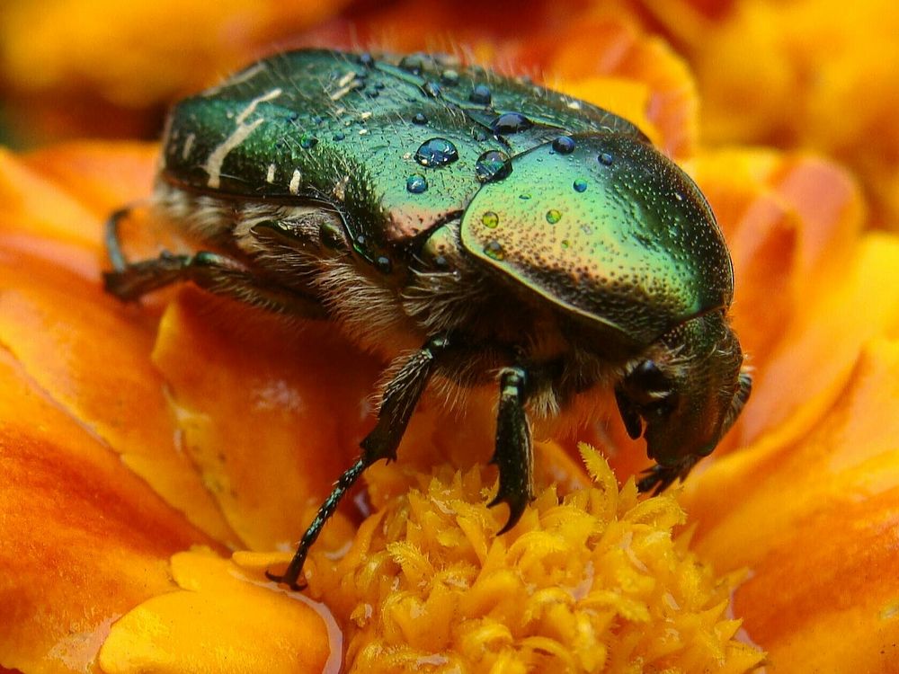 Фотография автора Павел Попов