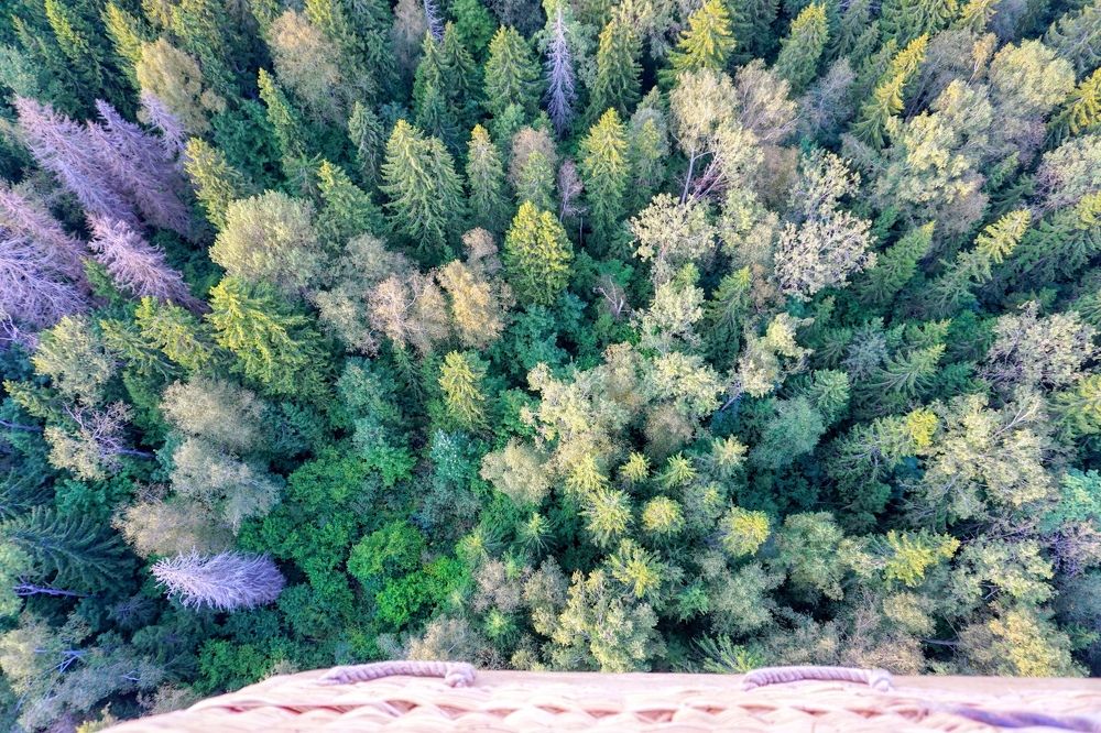 Зеленая Земля