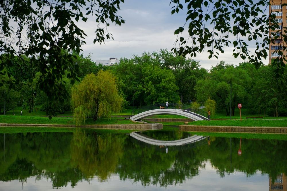 Зеленый парк