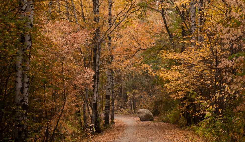 Photograph by Наталия Акимова