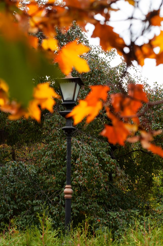 Photograph by Наталия Акимова