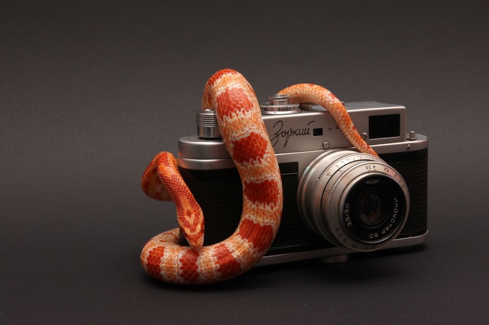 Photograph by Роман Белов