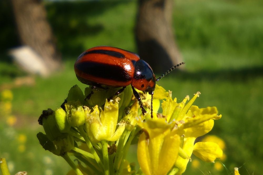 Photograph by Сергей Горбунов