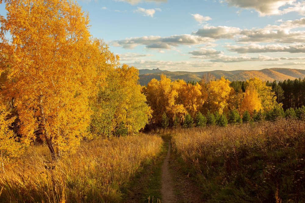 Photograph by Татьяна Афанасьева