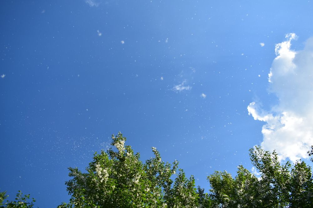 Photograph by Наталья Еременко