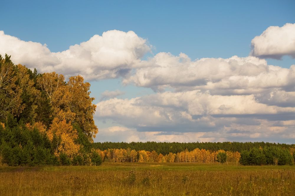 Photograph by Татьяна Афанасьева