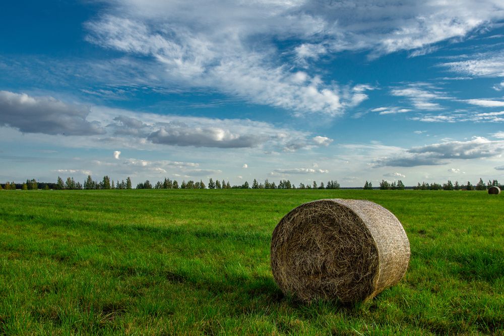 Красоты средней полосы