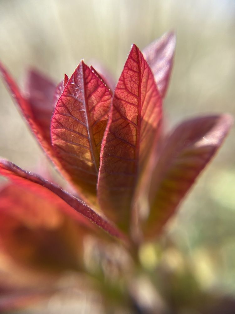 Photograph by Анастасия Куэлляр