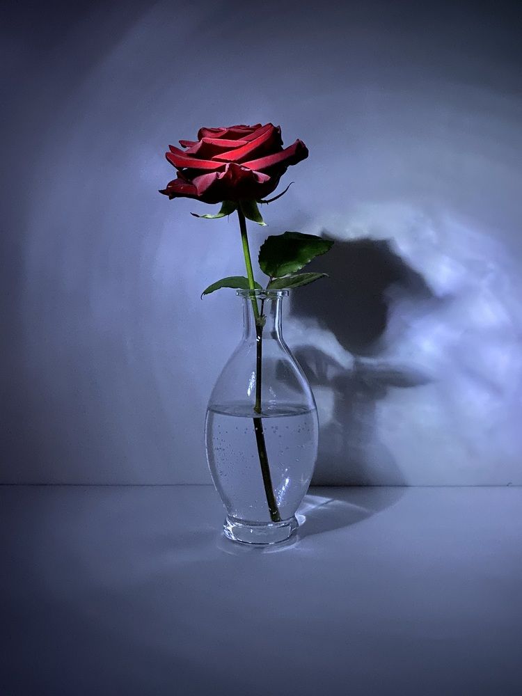 Photograph by Анастасия Куэлляр