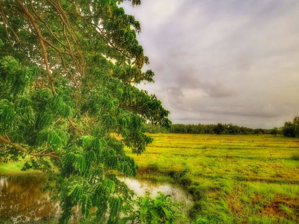 Photograph by Kasun Eranga