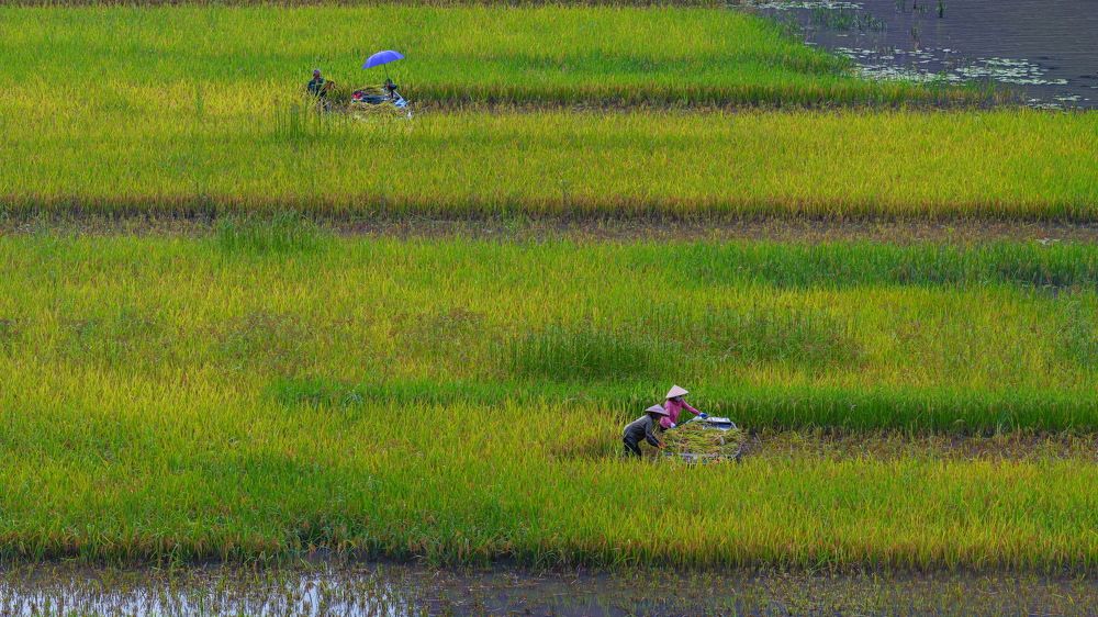 Photograph by Ngọc Vân (Helena Vân) Nguyễn