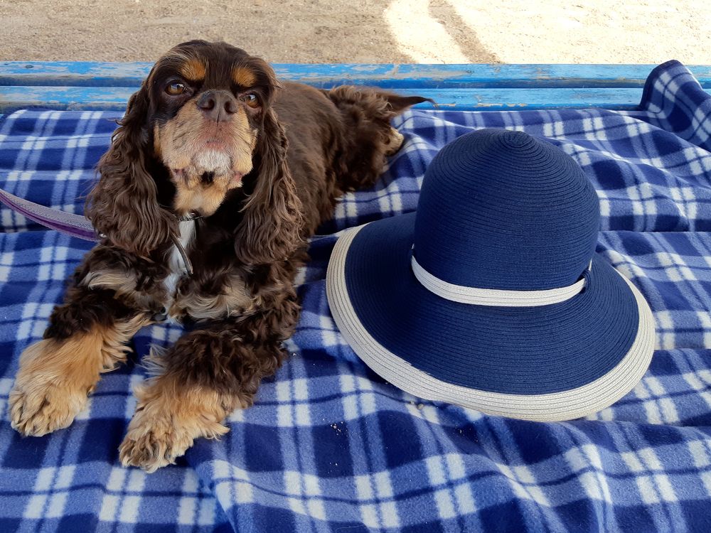 Photograph by Inessa Botasheva