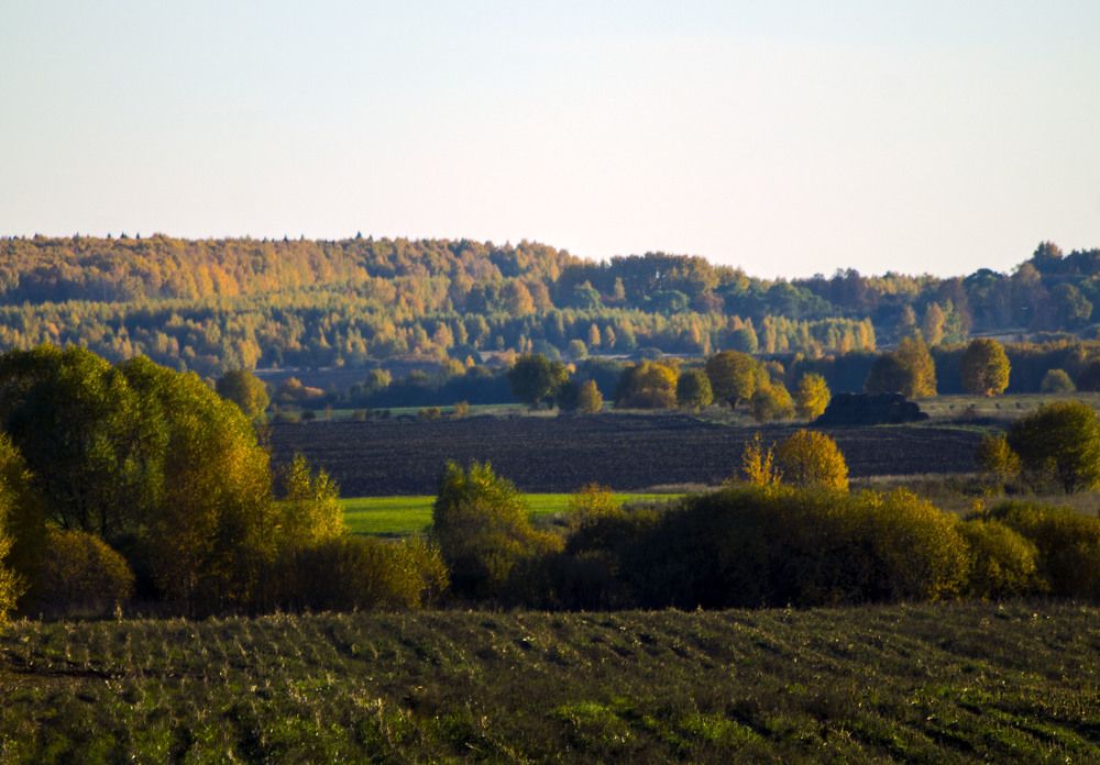 Photograph by Людмила Павловна