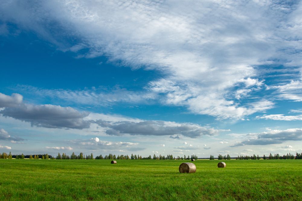 Красоты средней полосы