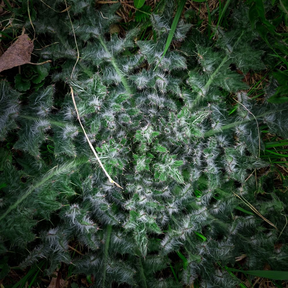 Photograph by Евгений Порсов