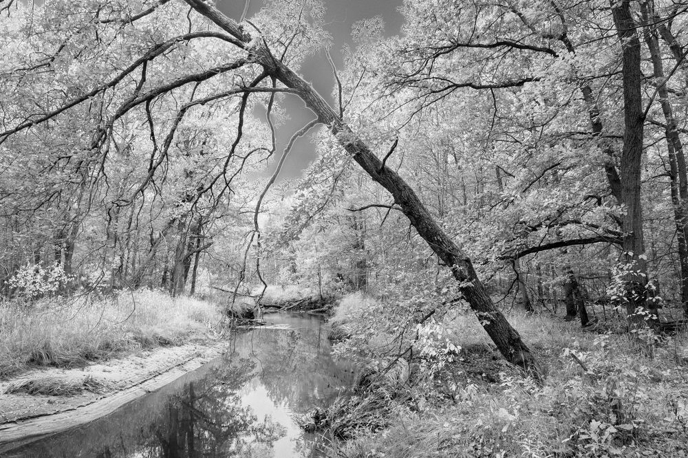 Photograph by Виктор Рыков