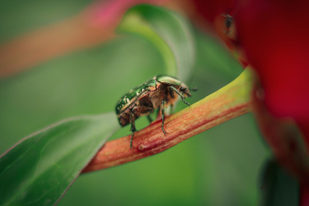 Photograph by Николай Стрельников