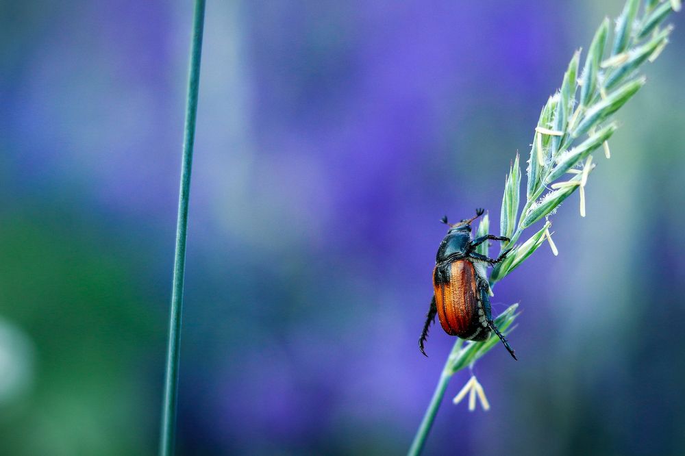 Photograph by Николай Стрельников