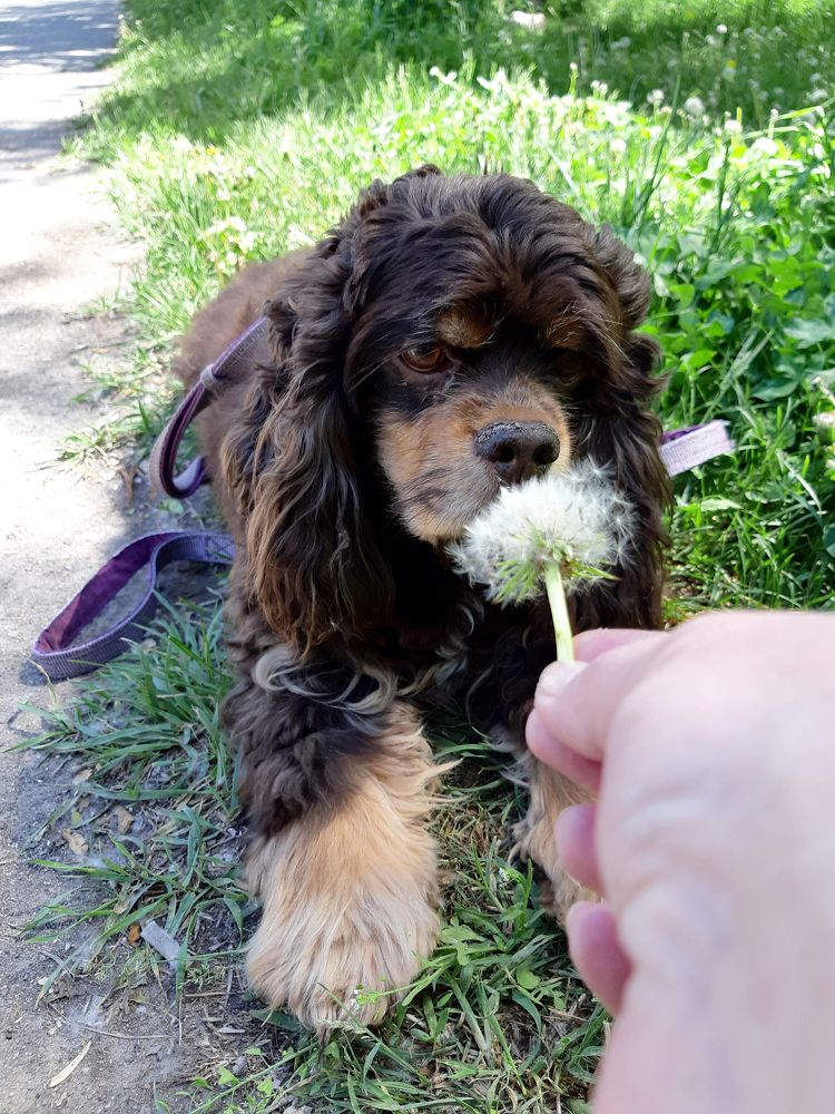 Photograph by Inessa Botasheva