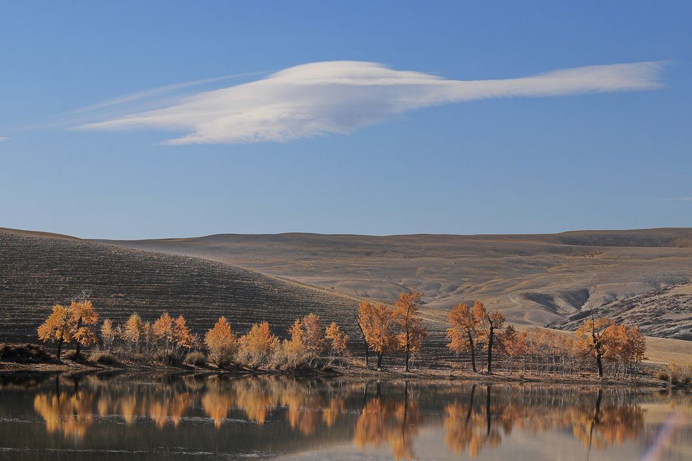 Photograph by Тамара Добролюбова