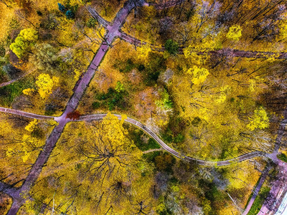 Photograph by Евгений Порсов