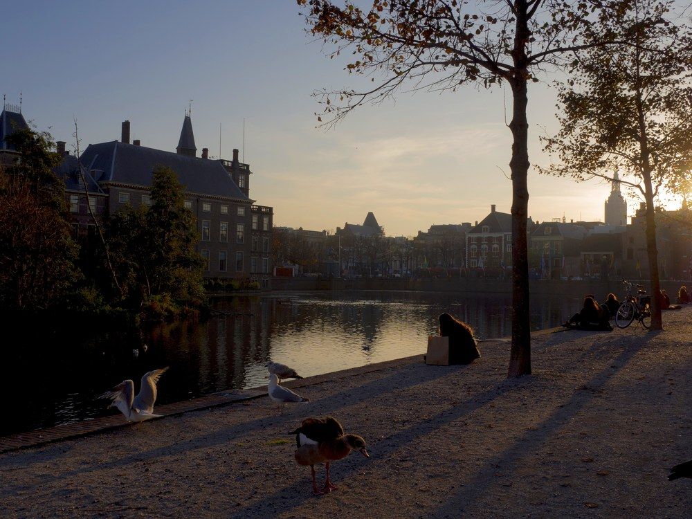 Фотография автора Madina Musaeva