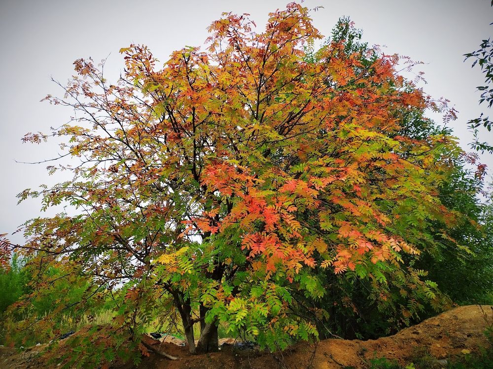 Photograph by Юлия Смирнова