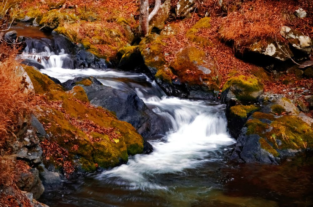 Photograph by Вероника Романенко