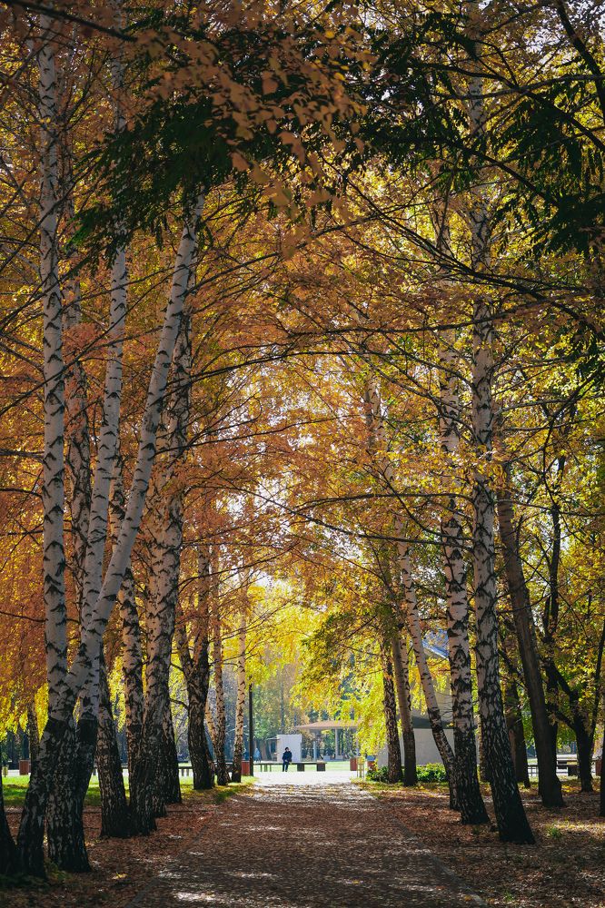 Photograph by Николай Стрельников