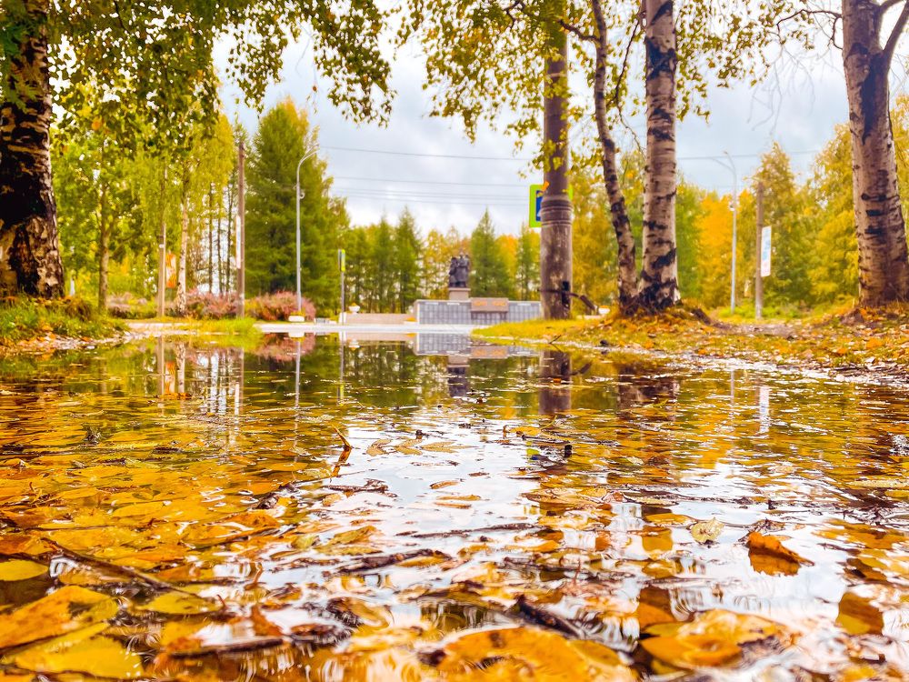 Photograph by Wrapper