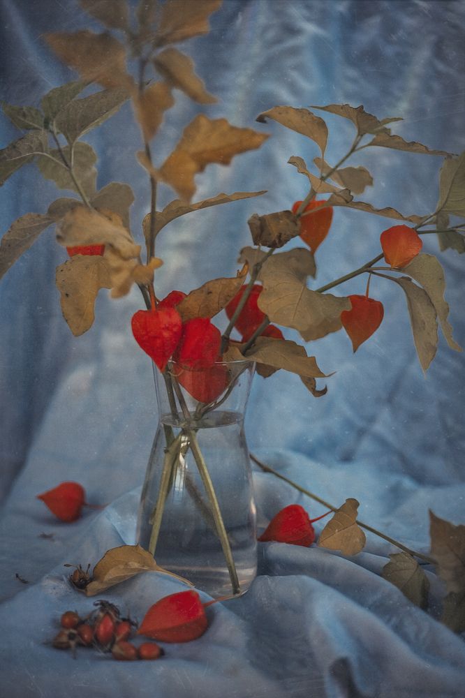 Photograph by Алена