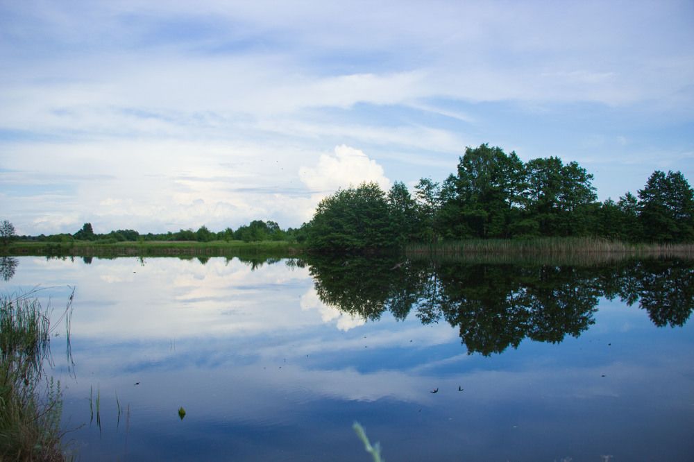 Фотография автора Елена Запертова