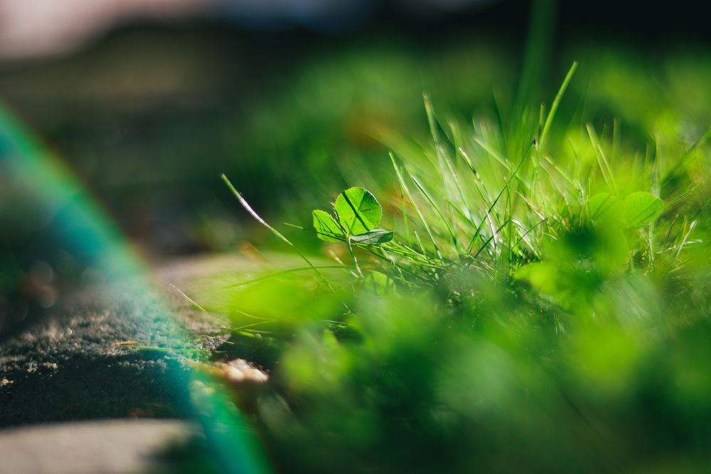 Photograph by Николай Стрельников