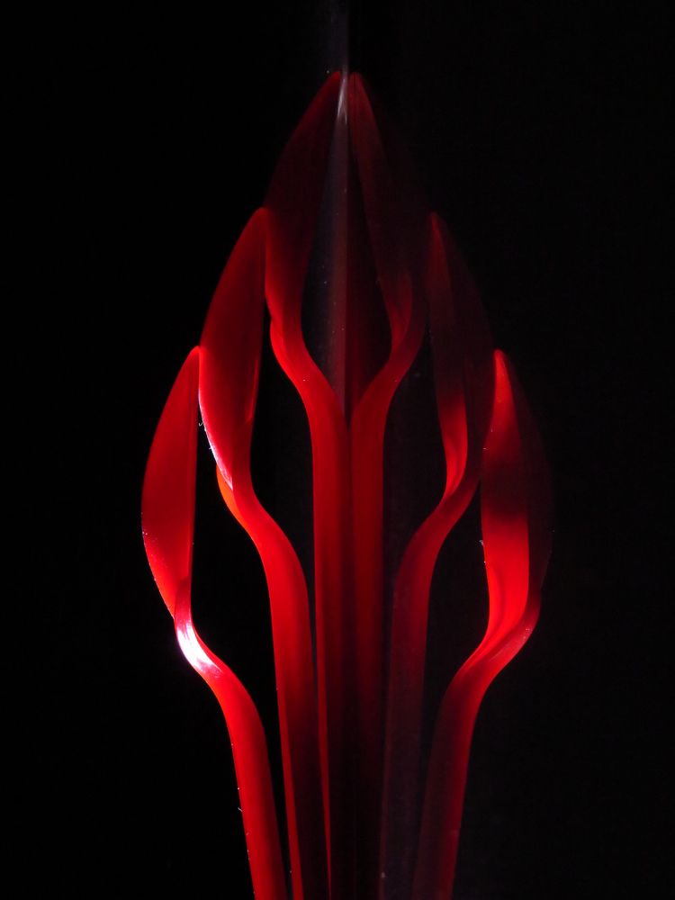 Photograph by Susmita Paul