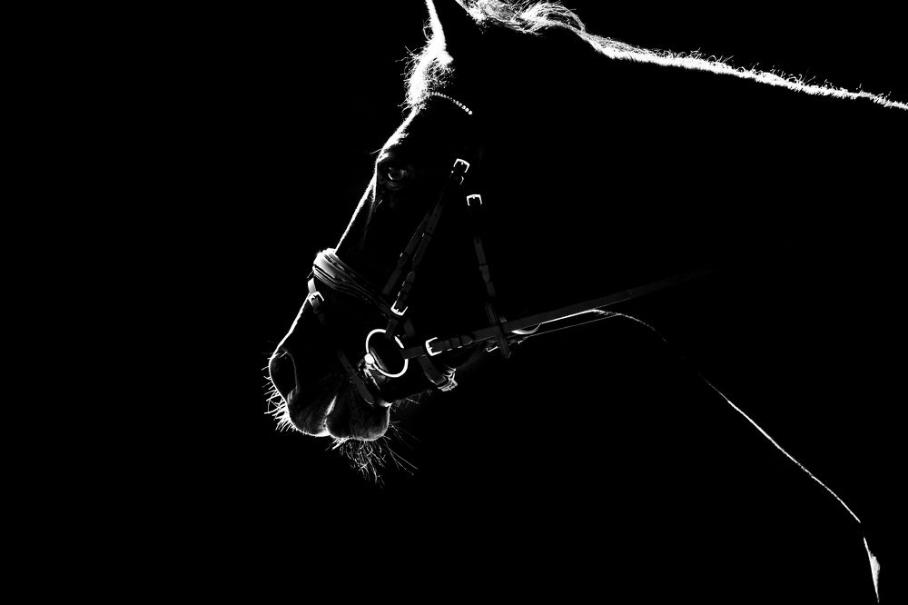 Photograph by Валерия Ватель