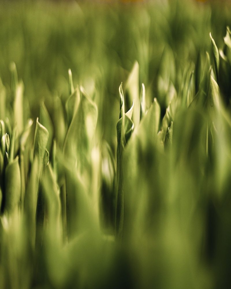 Фотография автора Алексей Крючков