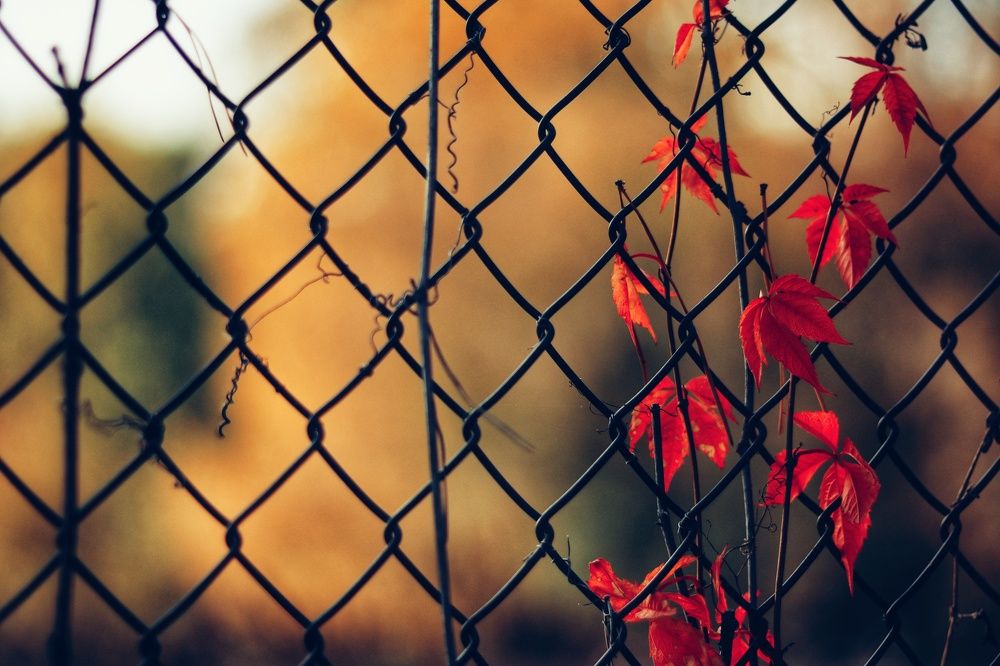 Photograph by Николай Стрельников