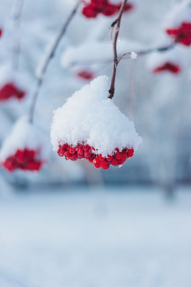 Photograph by Николай Стрельников