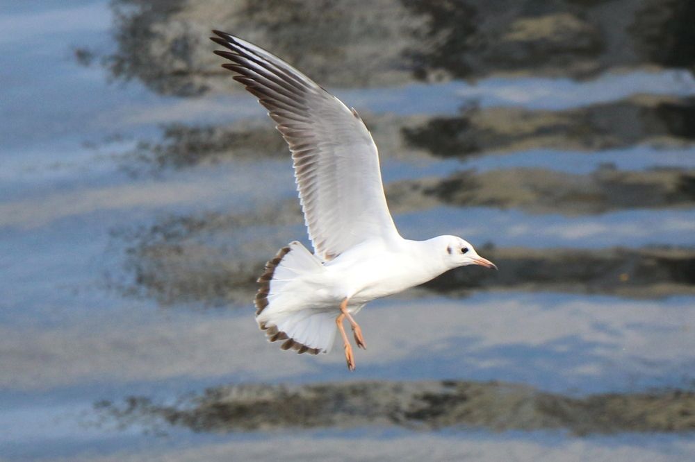 Photograph by Александр Коркин