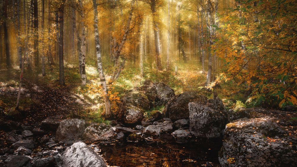 Photograph by Ivan Sazykin