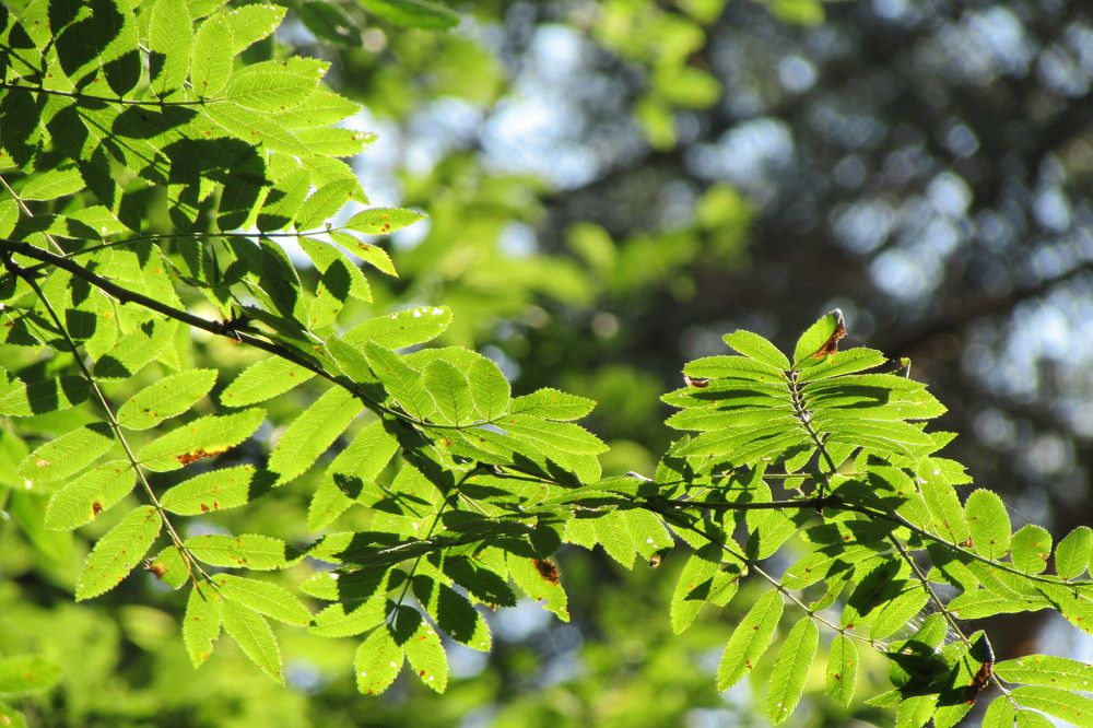 Photograph by Татьяна