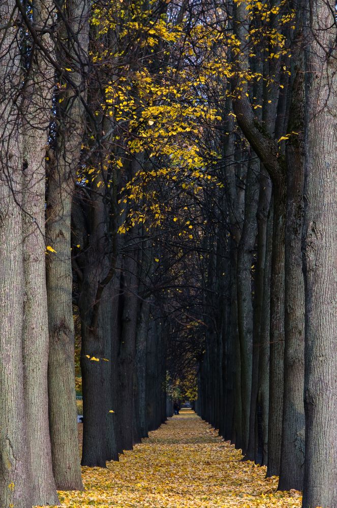 Photograph by Татьяна Михайлова